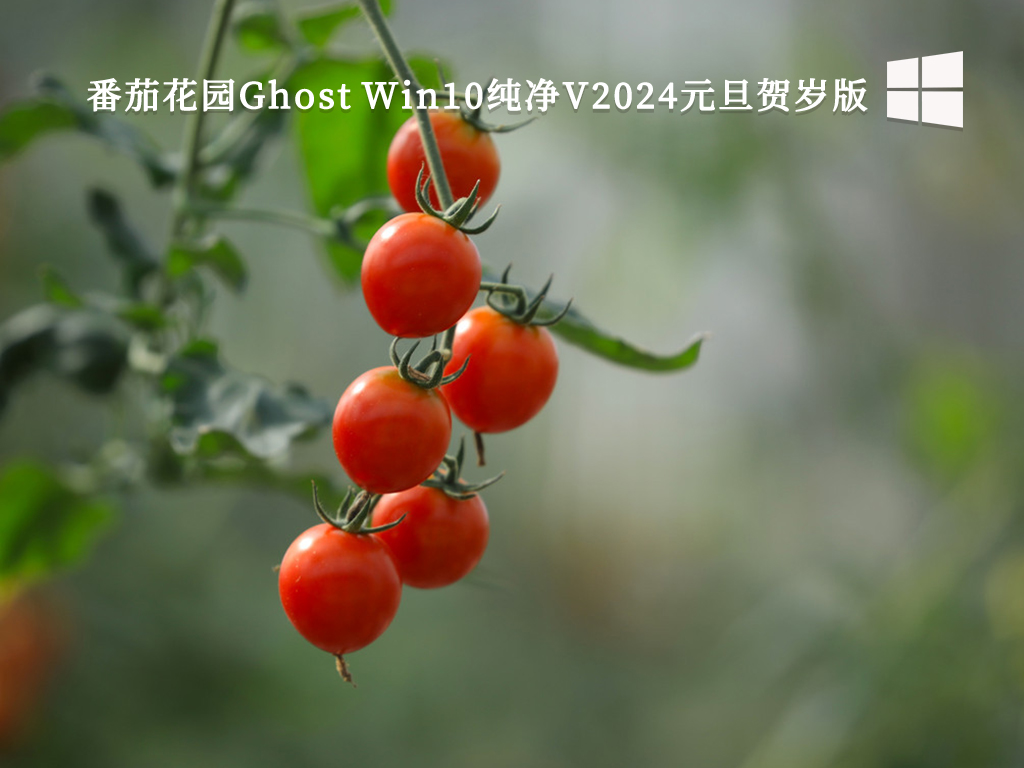 番茄花园Ghost Win10纯净版_番茄花园Ghost Win10纯净2024年元旦贺岁版V2024下载