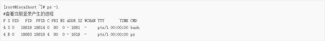 Linux新手入门：PS命令查看正在运行的进程