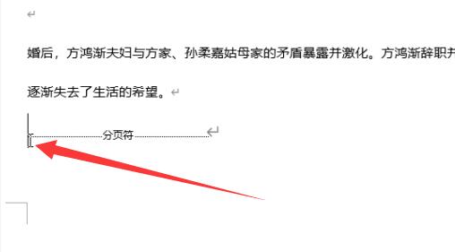 Word怎么删除分页符后的空白页？Word删除分页符后空白页操作方法