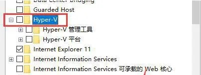 Win11不兼容雷电模拟器怎么办？Win11无法打开雷电模拟器解决方法