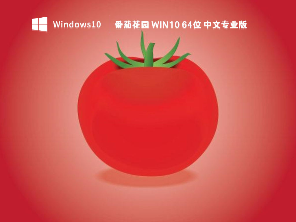 番茄花园Win10下载_番茄花园 Win10 64位 中文专业版V2023