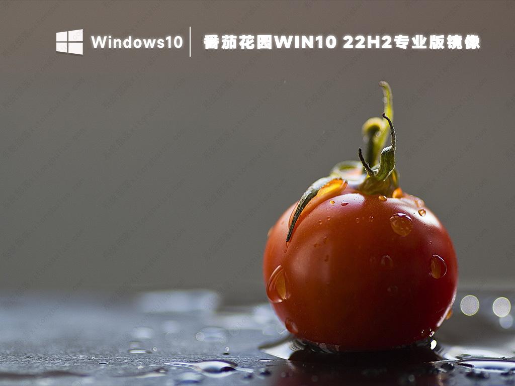 番茄花园win10系统下载 win10 22h2专业版镜像ghost文件(纯净免激活)