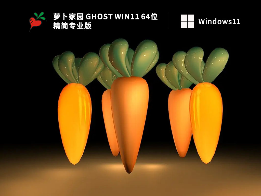 Win11精简版下载_萝卜家园 Ghost Win11 64位 精简专业版V2023