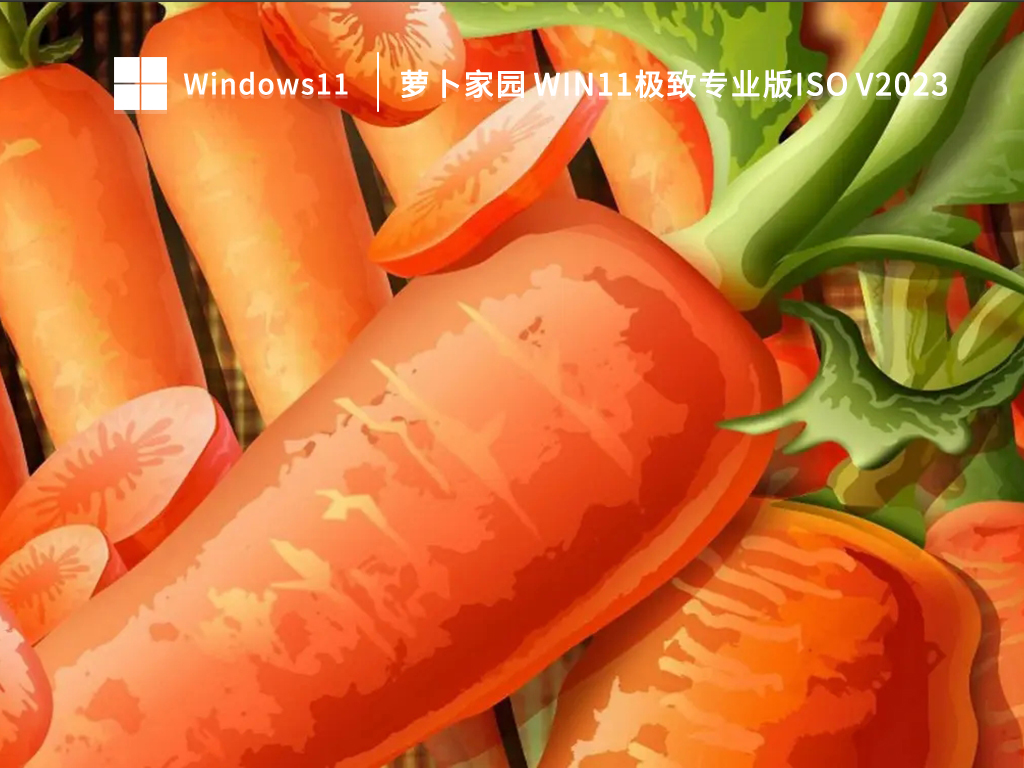 萝卜家园Win11专业版下载_Win11极致专业版64位ISO下载2023