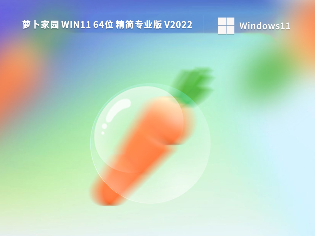 萝卜家园Win11系统下载_萝卜家园 Win11 64位 精简专业版