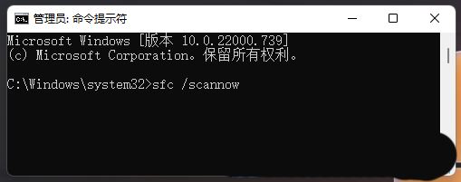 Win11此电脑搜索栏没反应怎么办？