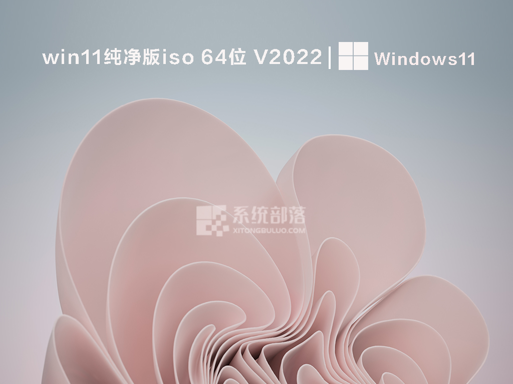 win11纯净版iso下载_win11纯净版系统官方免费下载安装