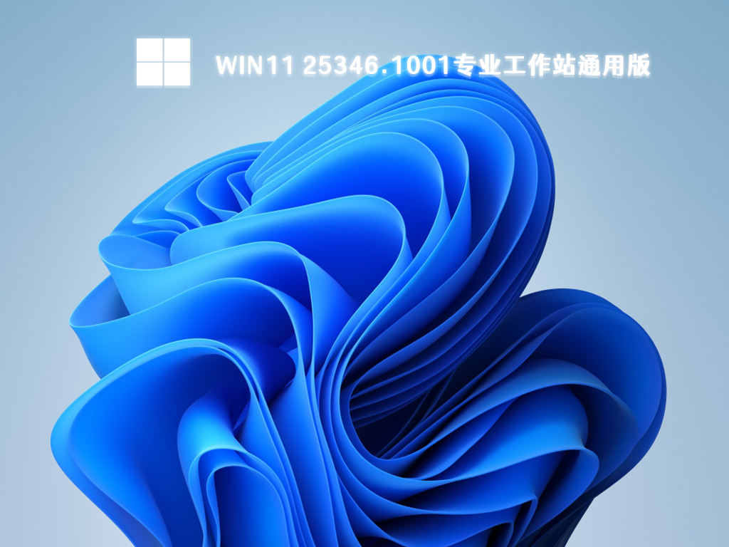 Win11专业工作站版下载_Win11 25346.1001专业工作站通用版系统下载