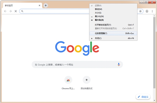 谷歌浏览器(Google