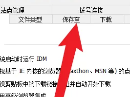 IDM怎么更改下载路径？IDM更改下载路径的方法