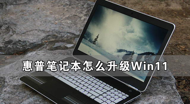 惠普笔记本怎么升级Win11 惠普笔记本升级Win11详细教程