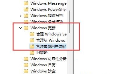 戴尔win11怎么关闭自动更新？戴尔win11关闭自动更新教程