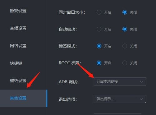 雷电模拟器如何设置ADB调试？雷电模拟器ADB调试设置教程