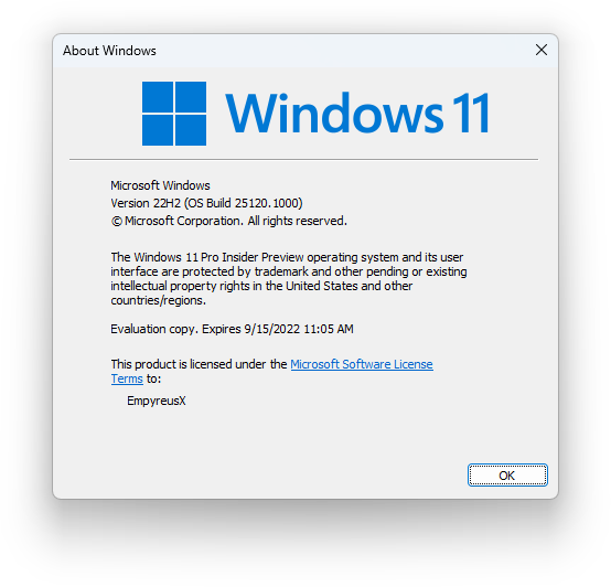 Win11 25120.1010 (ni_release)官方原版镜像