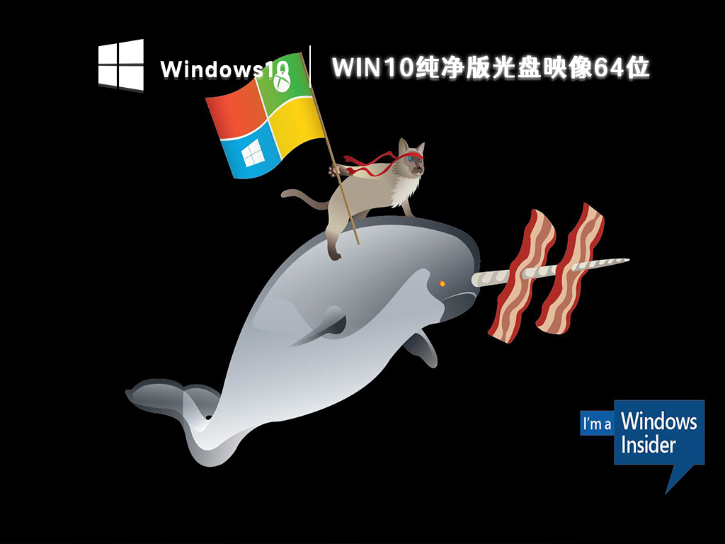 win10纯净版64位下载_win10纯净版光盘映像下载2023