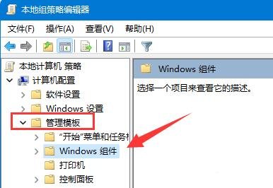 win11怎么关闭显卡驱动更新？win11显卡驱动更新关闭方法