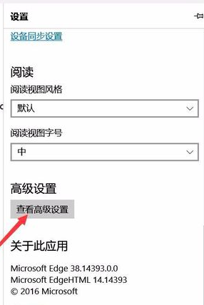 Edge新版本不能用internet打开网址了吗？