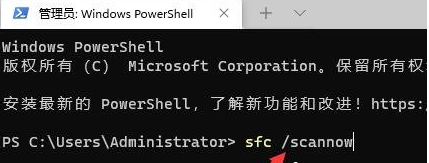 Windows11纯净最新版 V22631.2265