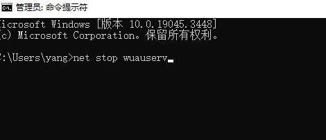 Windows10 22h2更新卡在0怎么办？Win10 22h2更新卡在0解决方法