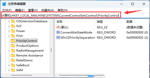 Win11文件复选框没有打开但还是会显示是怎么回事？