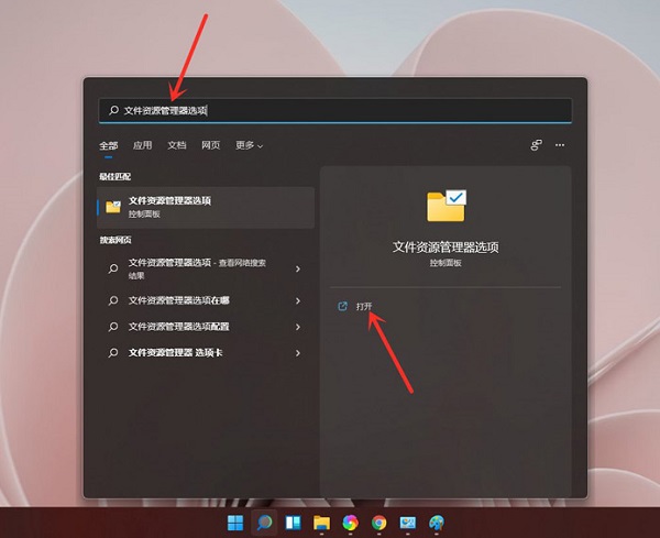 Win11如何显示文件后缀名？(怎么让Win11显示文件后缀名)