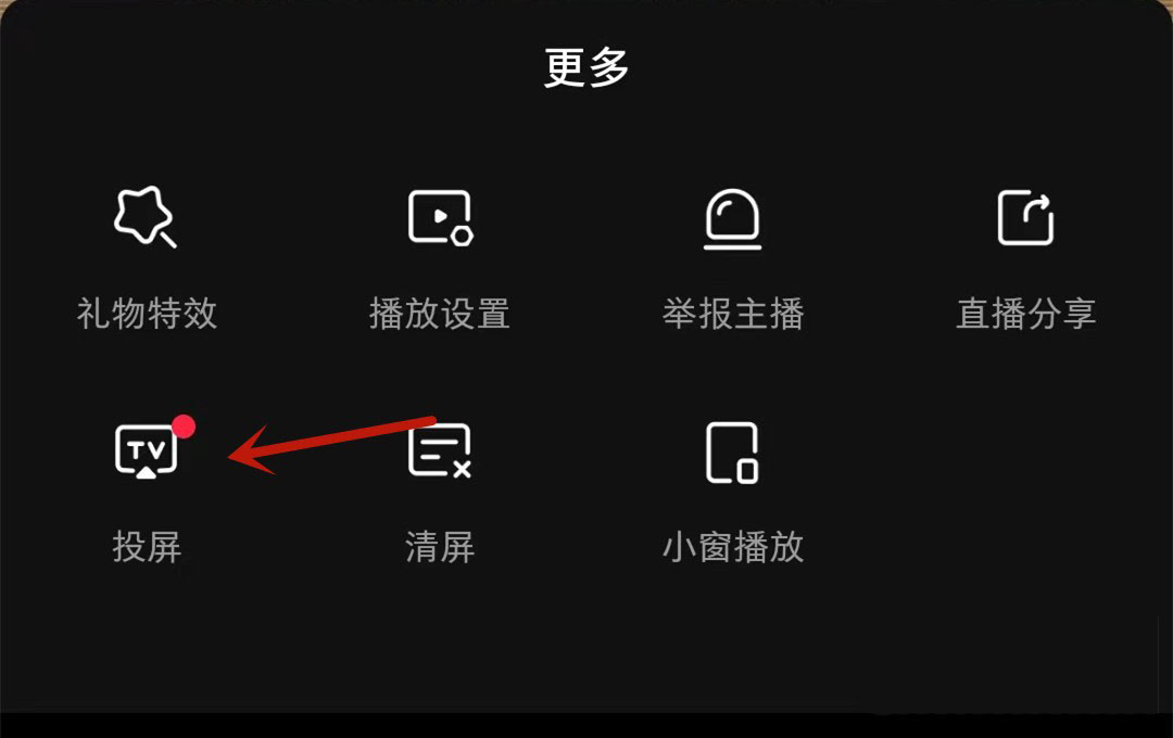 小红书直播怎么投屏？小红书直播投屏步骤方法