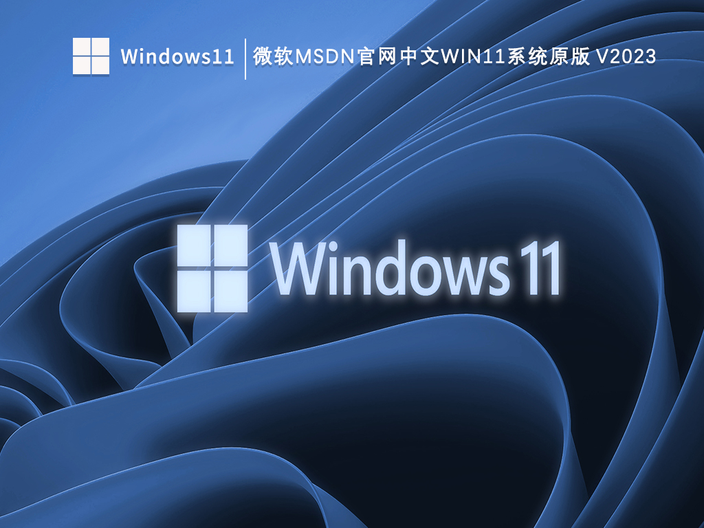 微软msdn官网下载Win11版原版_微软msdn官网中文Win11系统原版V2023