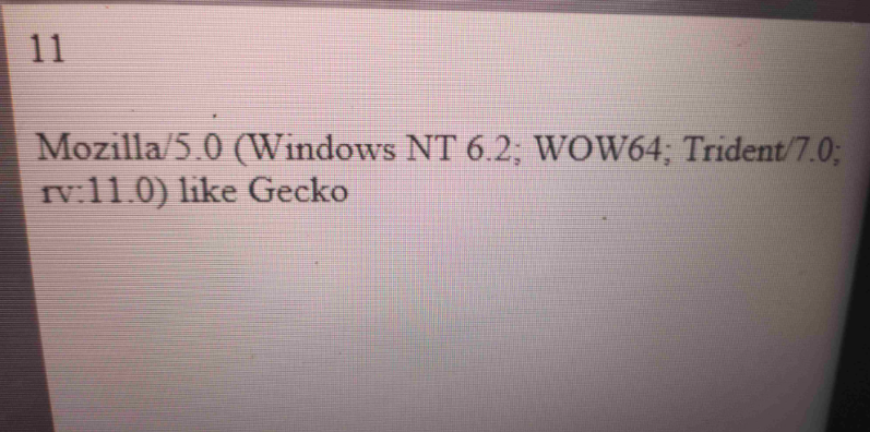 Win10系统电脑屏幕出现Mozilla/5.0怎么办