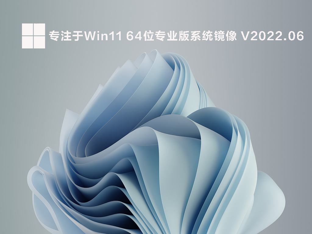 [专注于Win11下载]专注于Win11 64位专业版系统镜像下载V2022.06