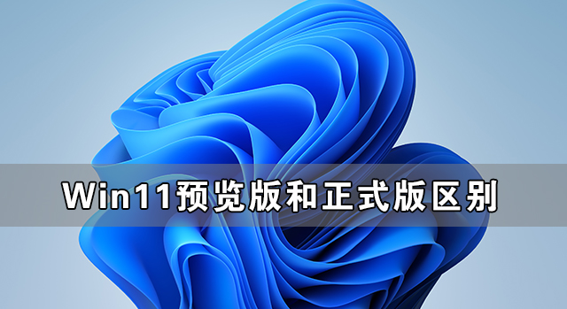 Win11预览版和正式版有什么区别