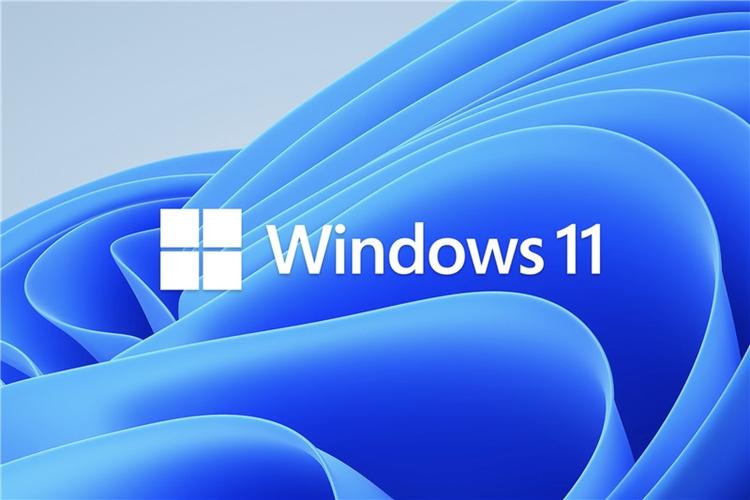 Win11预览版和正式版有什么区别？预览版可以升级正式版吗？