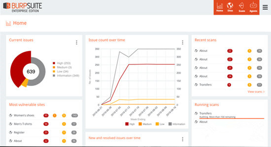 Burpsuite