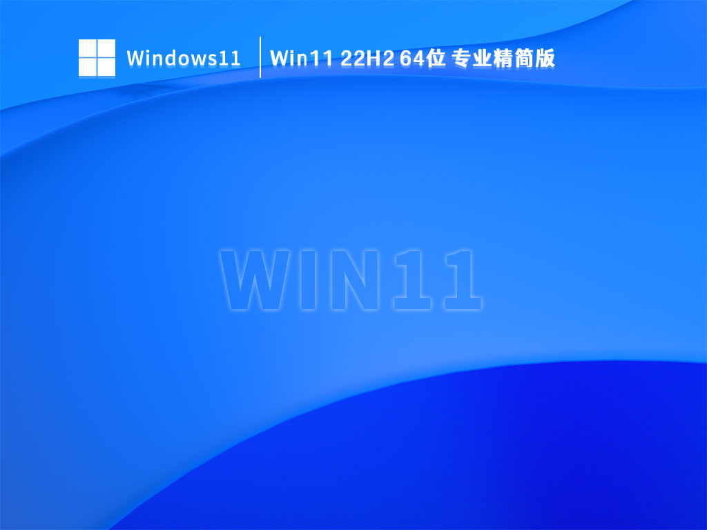 Win11 22H2下载_Win11 22H2 64位 专业精简版V2023