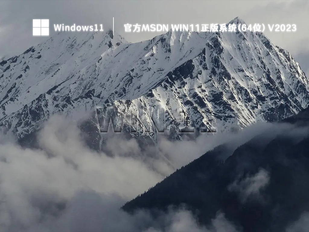 官方MSDN正版Win11系统下载_Windows11正版系统64位下载