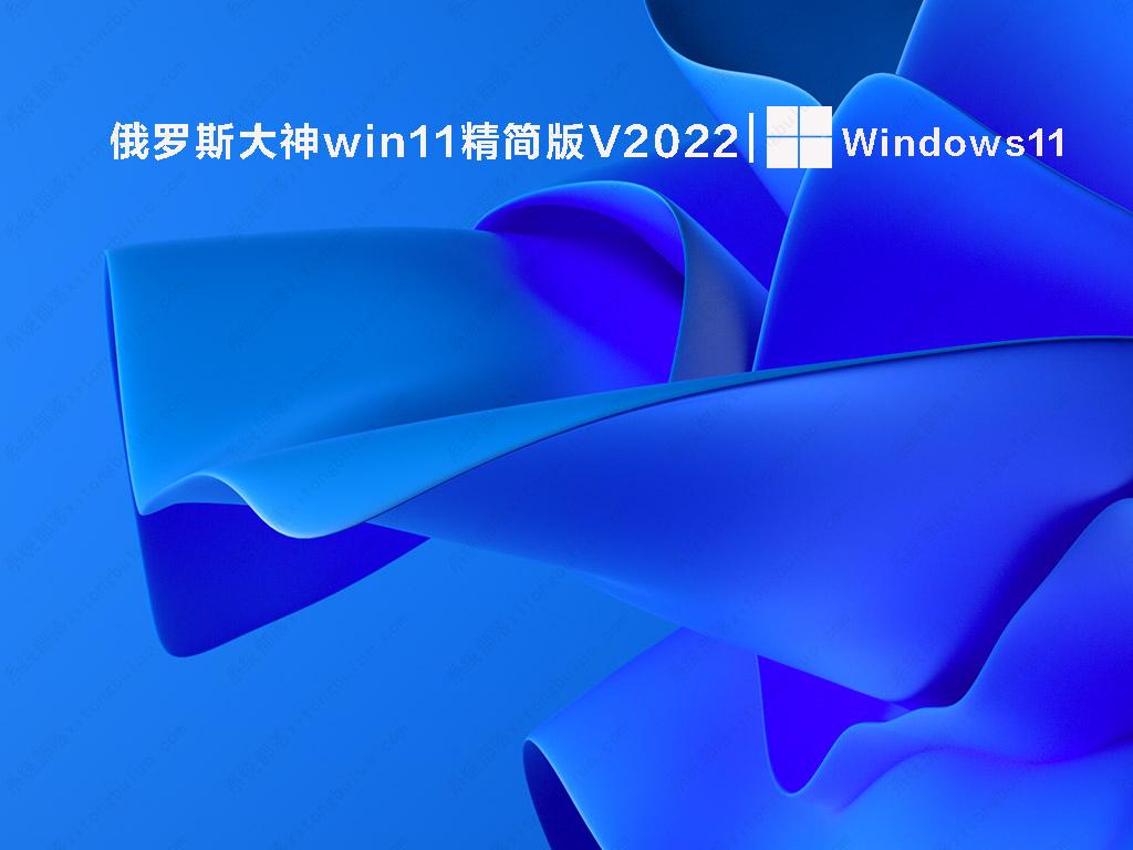 俄罗斯大神win11精简版下载_俄罗斯大神win11纯净精简版镜像下载