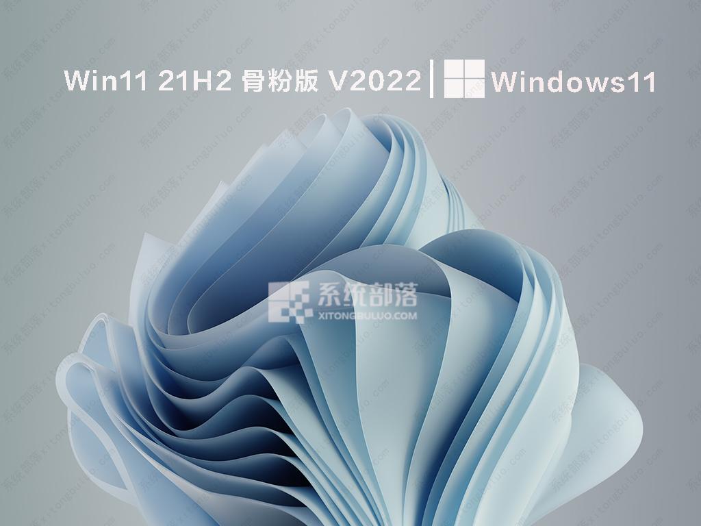 Win11 21H2版本下载_Win11 21H2 骨粉版永久激活下载