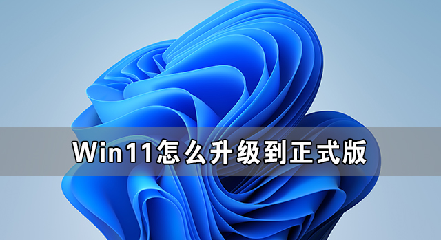 Win11怎么升级到正式版 Win11升级正式版的方法介绍