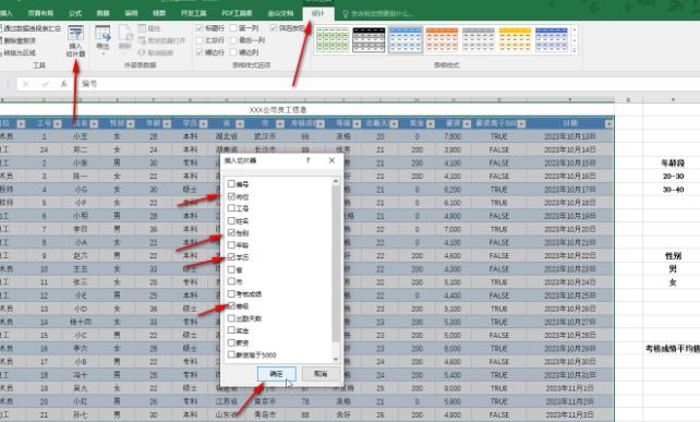 Excel中插入和使用切片器进行筛选的方法