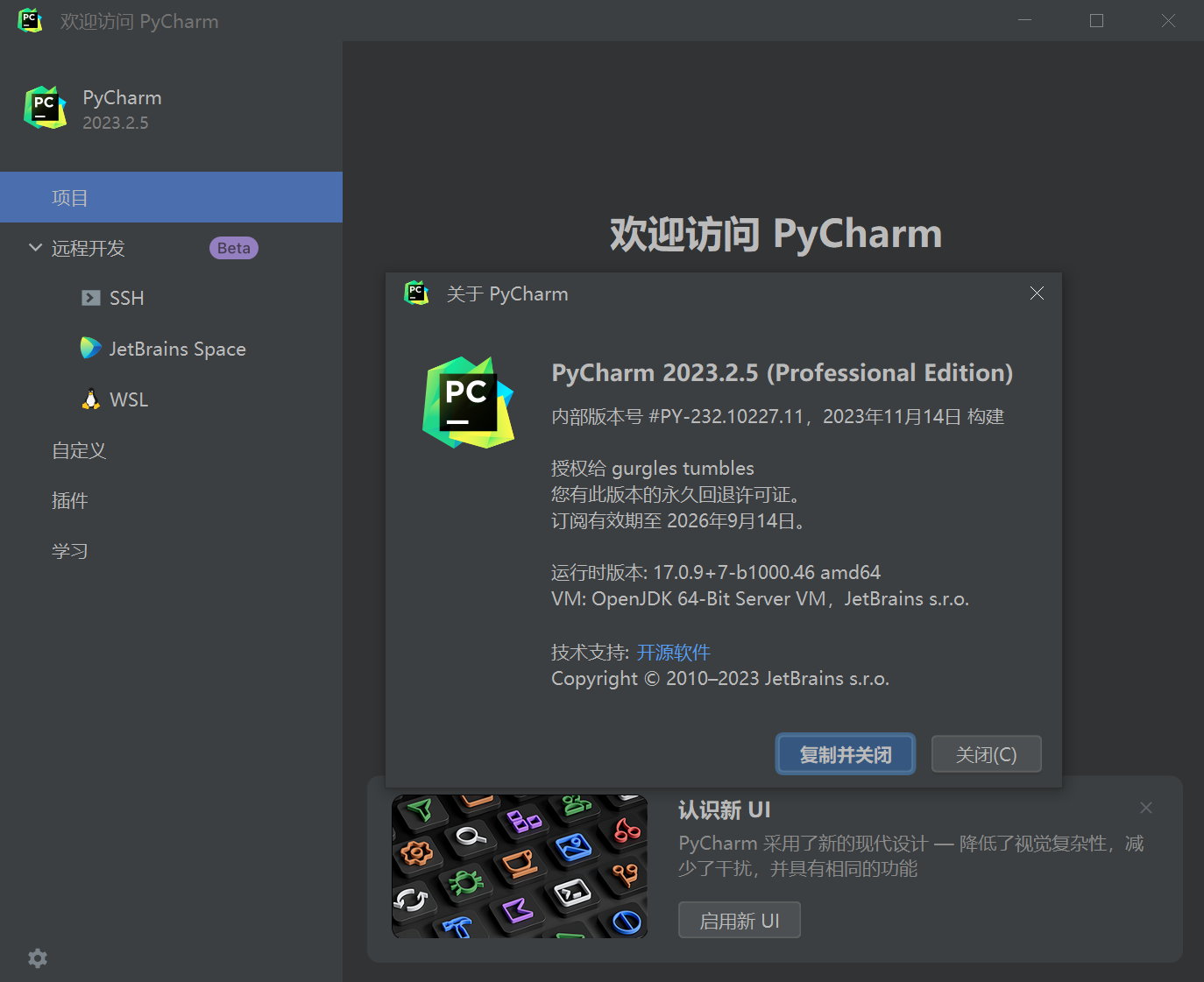 JetBrains PyCharm Pro 2023.2.5 x64 Multilingual 中文注册版