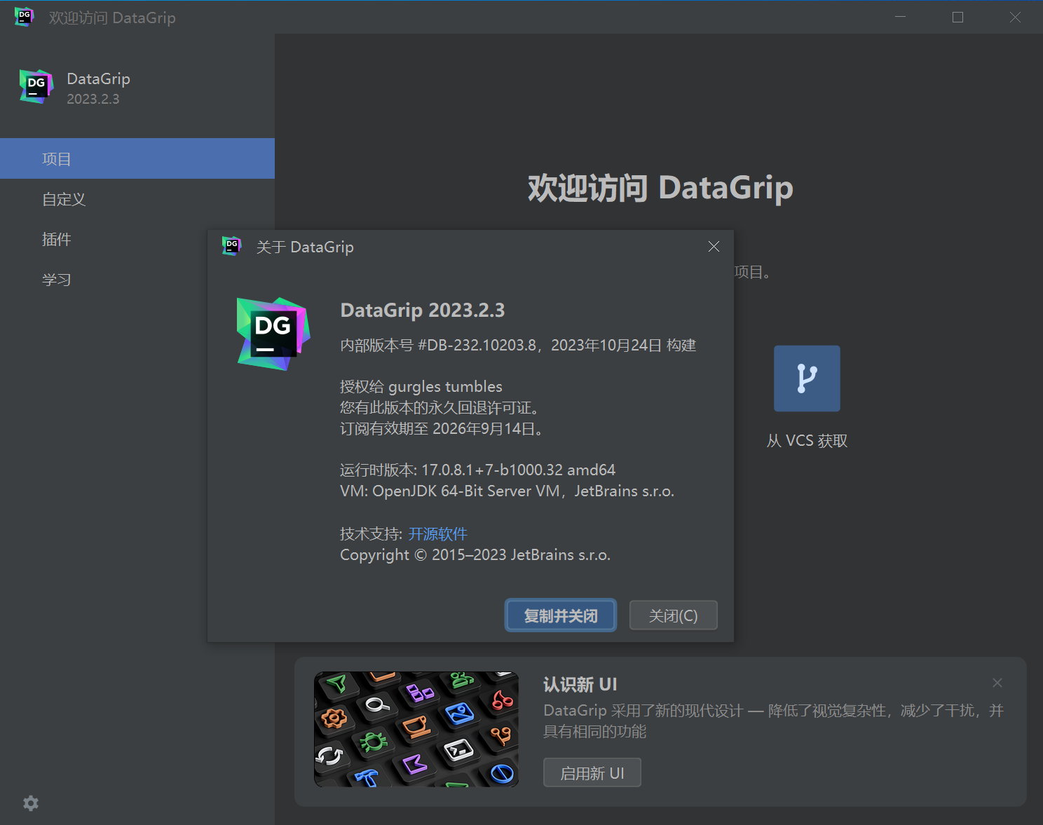 JetBrains DataGrip 2023.2.3 x64 Multilingual 中文注册版