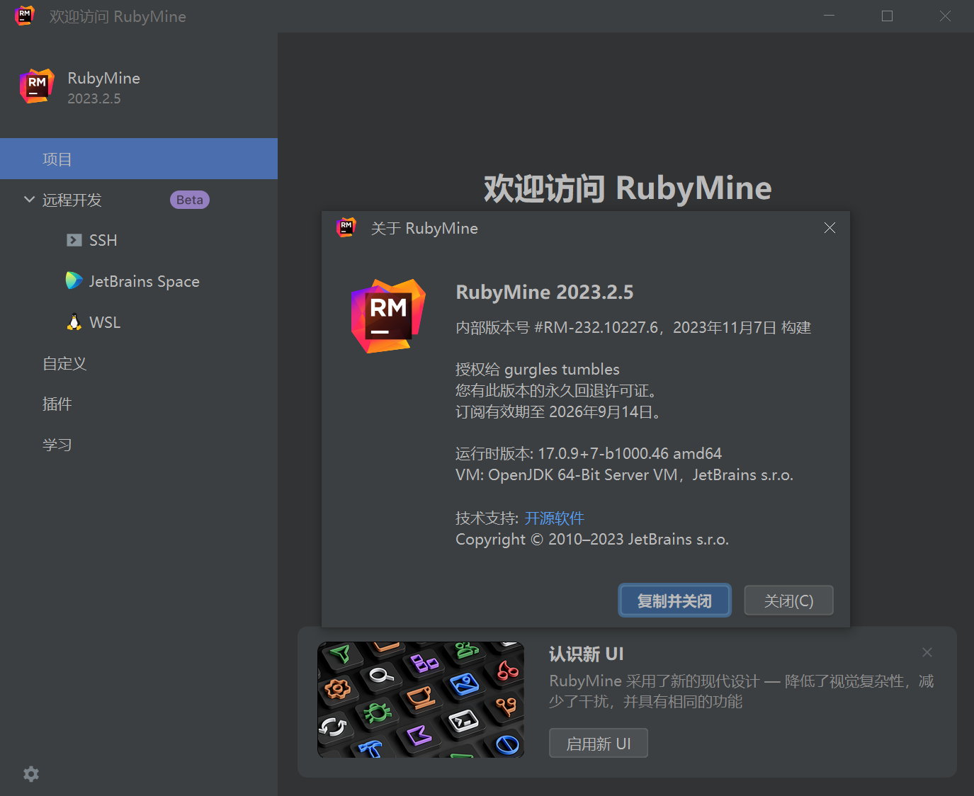 JetBrains RubyMine 2023.2.5 Multilingual 中文注册版