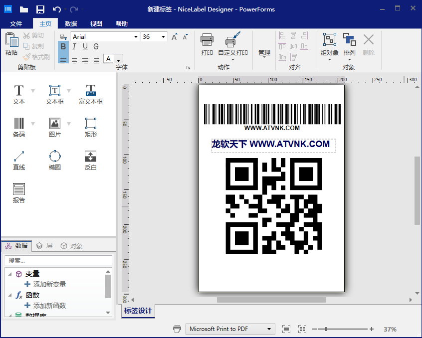 NiceLabel Designer PowerForms v10.2 Build 21.2.0.9414 Multilingual 中文注册版