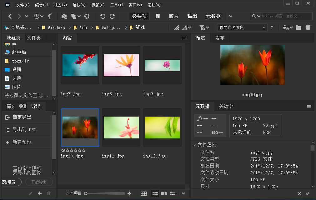 Adobe Bridge 2021 v11.1.1.185 x64 Multilingual 多语言中文版