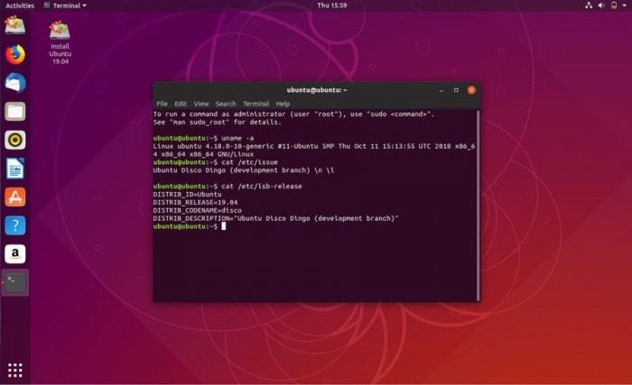 Ubuntu v19.04（Disco Dingo）每日构建版镜像开放下载