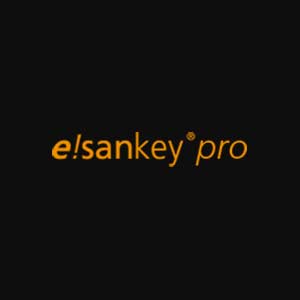 ifu e！Sankey Pro 5.1.2.1破解版下载