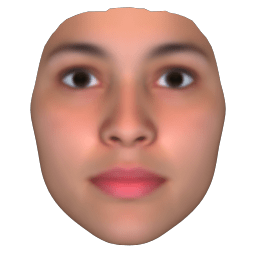 FaceGen Artist Pro 3.4破解版下载