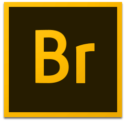 Adobe Bridge 2020破解版下载