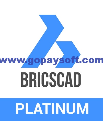 Bricsys BricsCAD Platinum 19.2.07.1破解版下载