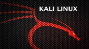 Kali Linux 2019.1系统下载