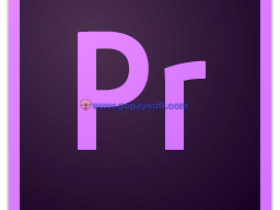 Adobe Premiere Pro CC 2019中文破解版